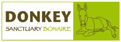 Donckey Sanctuary Bonaire