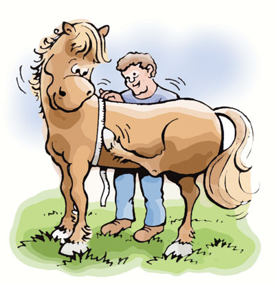 Horse Weight Tape (Meetlint)
