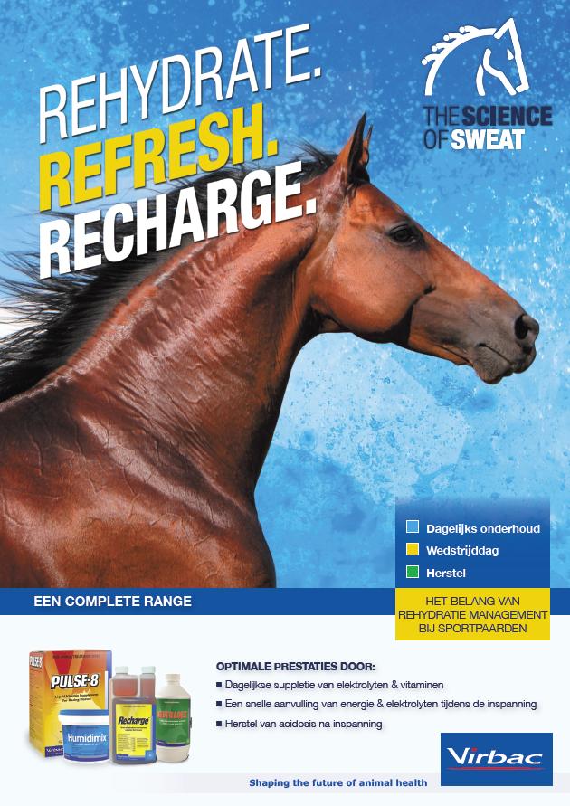 The Science of Horse Sweat