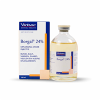 Borgal 24% 100 ml