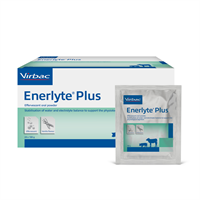 Enerlyte Plus 24x100 g