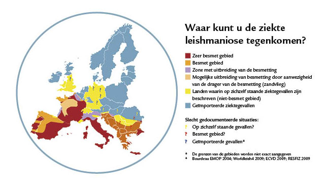 BVT Speed range Canine Leishmaniasis
