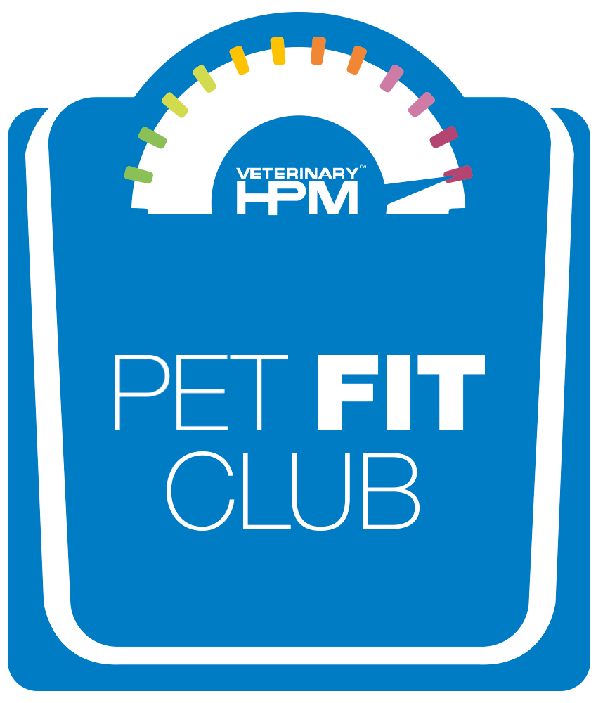 Pet Fit Club logo animatie
