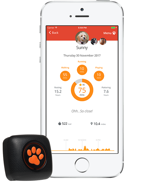 PitPat Activity Tracker