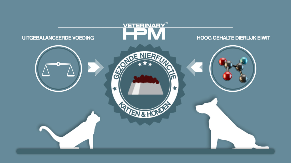 HPM veterinary 